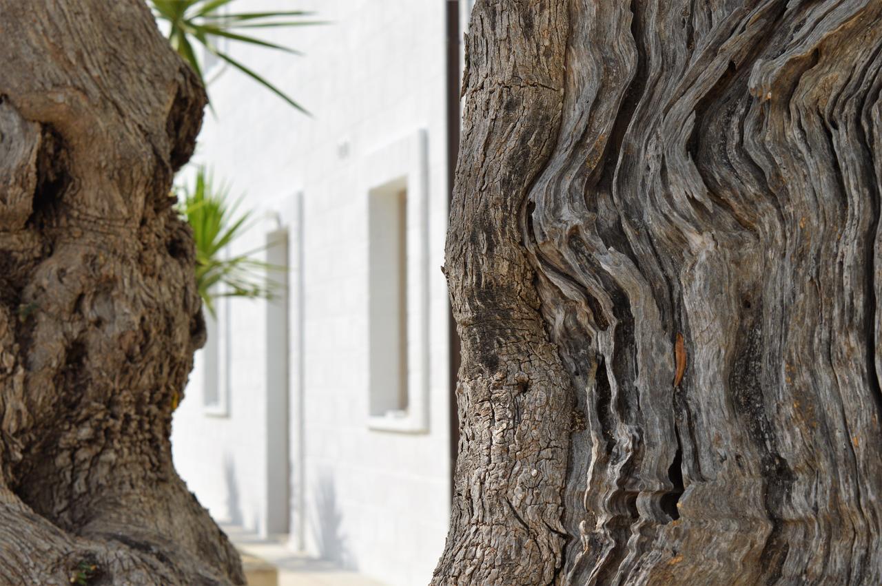 Masseria Torrepietra Monopoli Kültér fotó