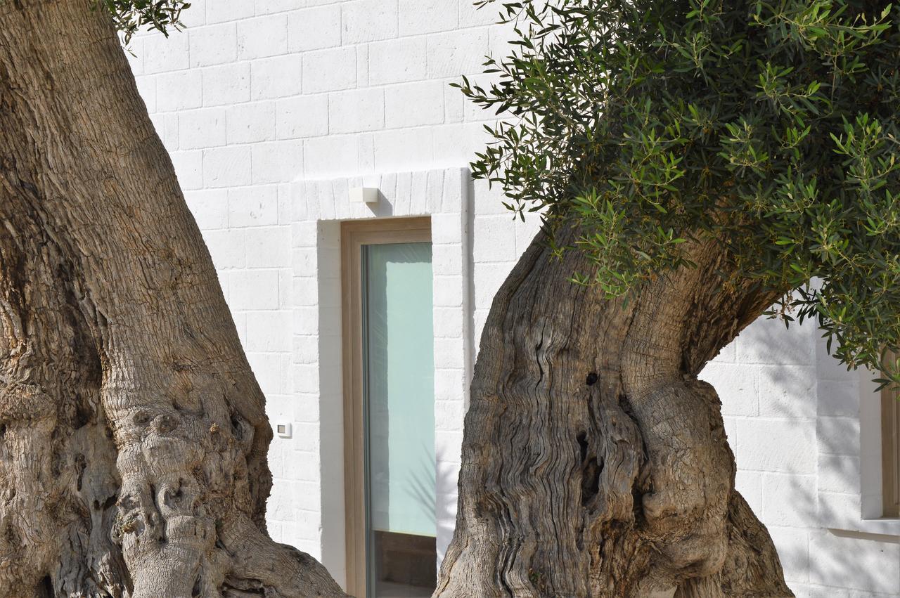 Masseria Torrepietra Monopoli Kültér fotó
